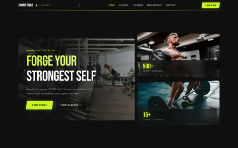 Premium Gym website preview